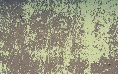 Zwarzona farba na ścianie – jak szybko i bezproblemowo naprawić ten błąd?